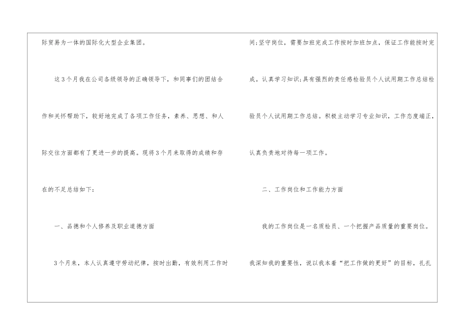 检验试用期工作总结_第3页