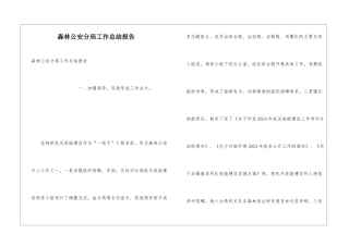 森林公安分局工作总结报告