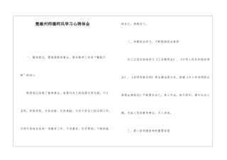 楚雄州师德师风学习心得体会