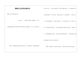模特礼仪形体训练知识