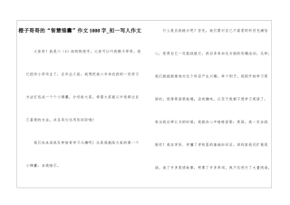 橙子哥哥的“智慧锦囊”作文1000字-初一写人作文