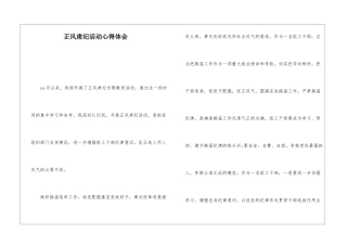 正风肃纪活动心得体会
