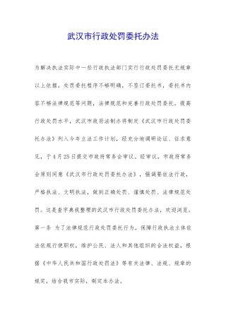武汉市行政处罚委托办法-