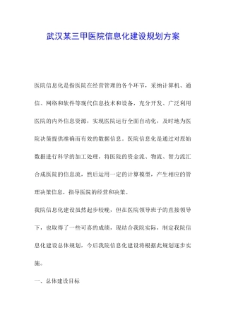 武汉某三甲医院信息化建设规划方案