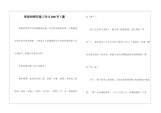 母亲的唠叨高三作文800字7篇