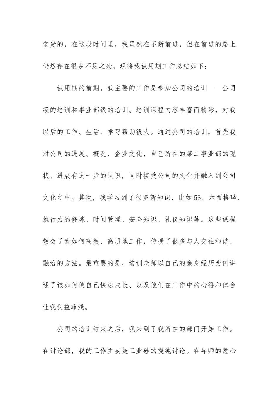 比亚迪试用期工作总结_第2页