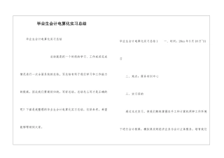 毕业生会计电算化实习总结