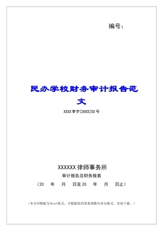 民办学校财务审计报告范文