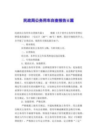 民政局公务用车自查报告6篇