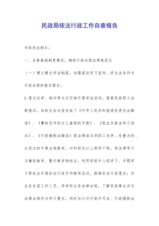 民政局依法行政工作自查报告-