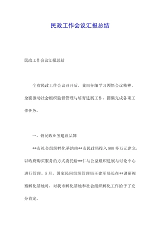 民政工作会议汇报总结