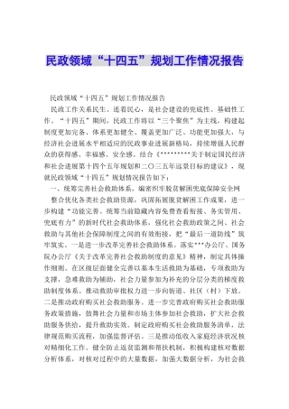 民政领域“十四五”规划工作情况报告