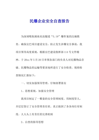 民爆企业安全自查报告