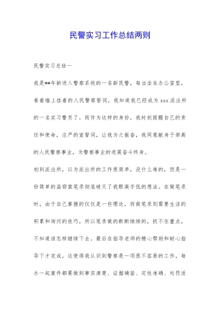 民警实习工作总结两则-