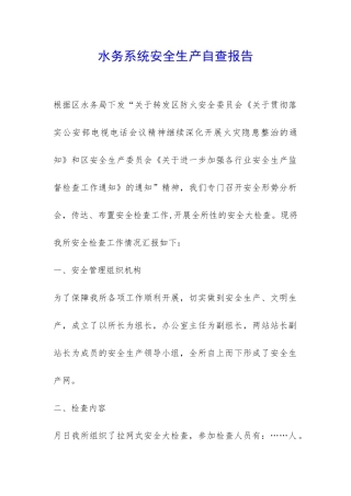 水务系统安全生产自查报告-