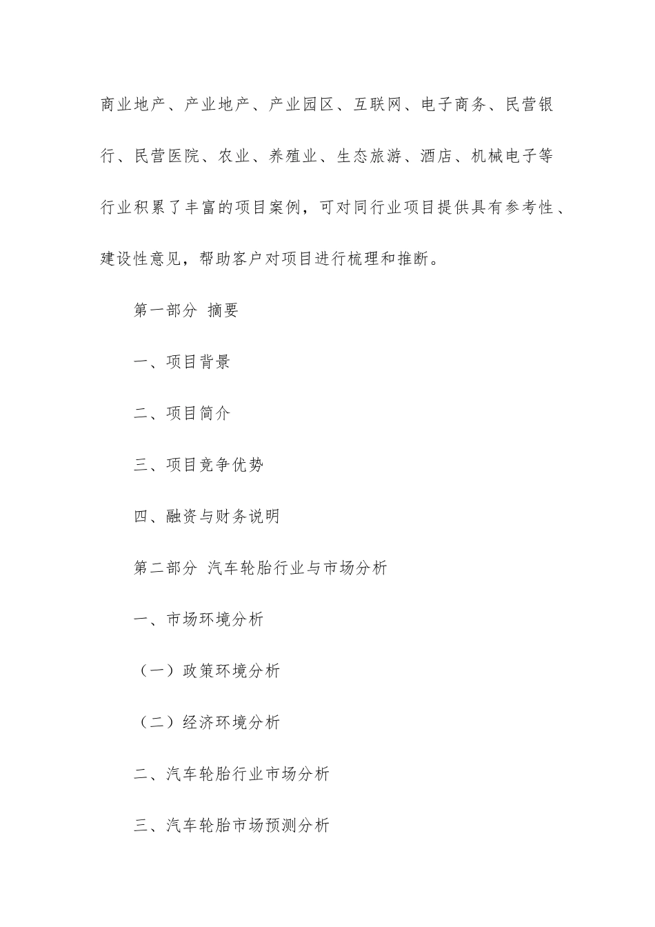 汽车轮胎项目商业计划书_第2页