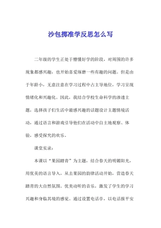 沙包掷准学反思怎么写
