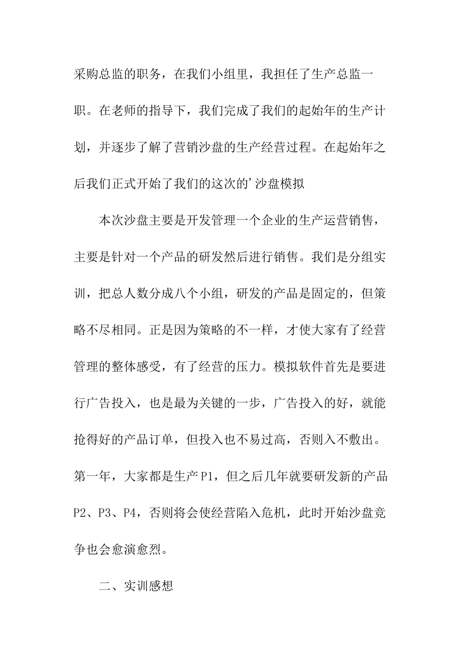 沙盘实训总结_第2页