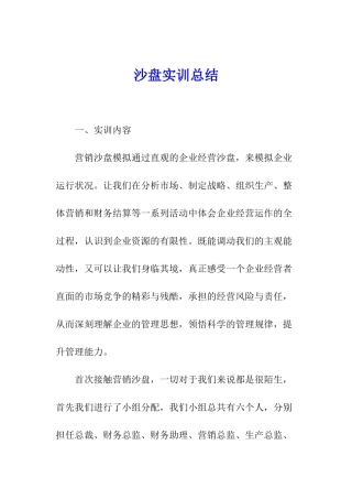 沙盘实训总结