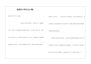 油菜花小学作文