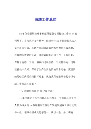 治超工作总结
