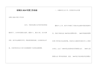 法制办2024年度工作总结