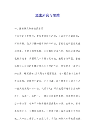 派出所实习总结-