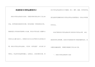 浅谈财政专项资金绩效审计