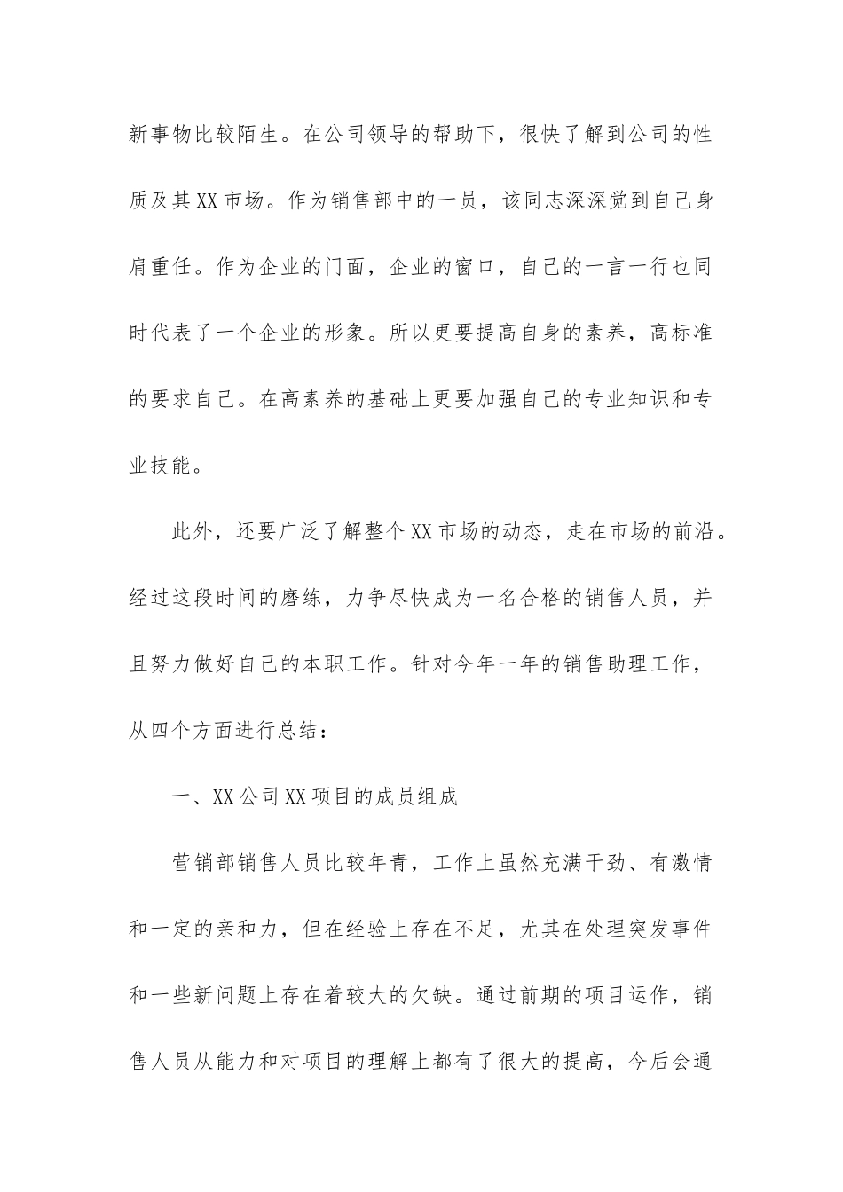 涂料销售年终总结_第2页