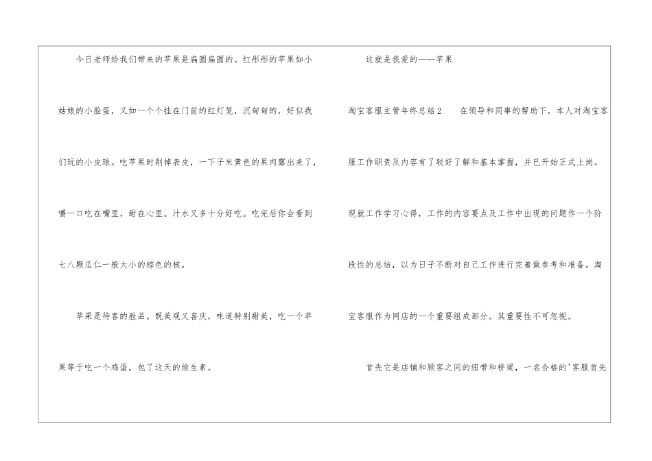 淘宝客服主管年终总结_第2页