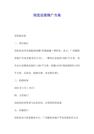 淘宝运营推广方案