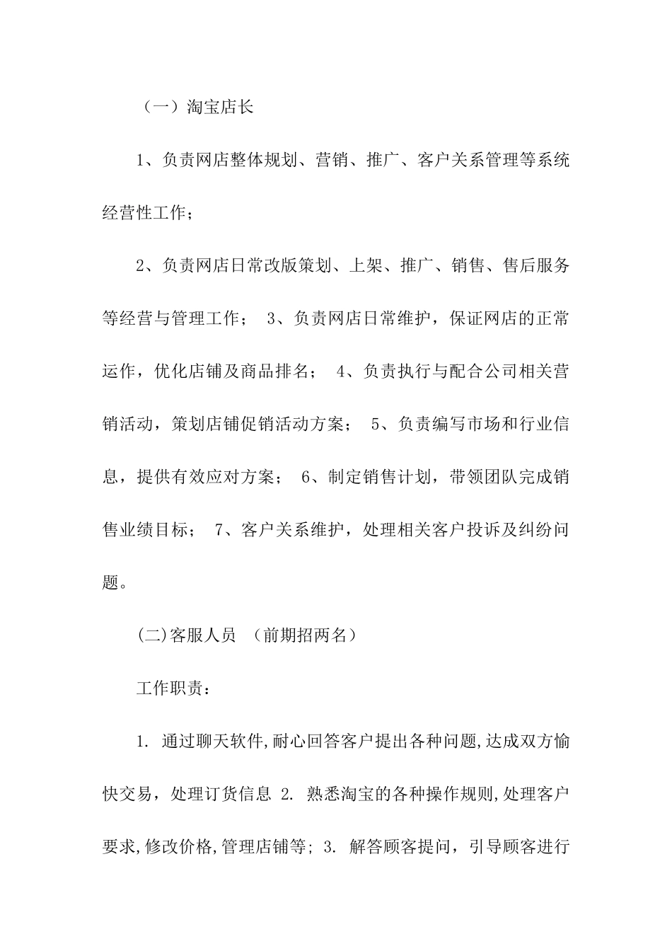 淘宝运营计划书_第3页