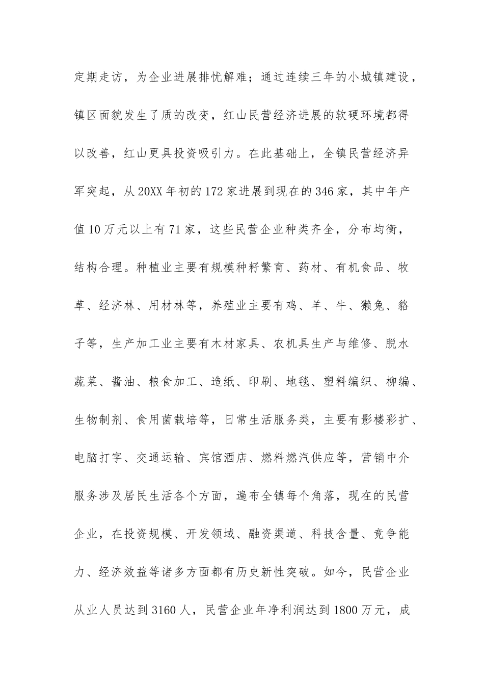 深入推进“旗域经济民营化”战略问题调研报告-_第2页
