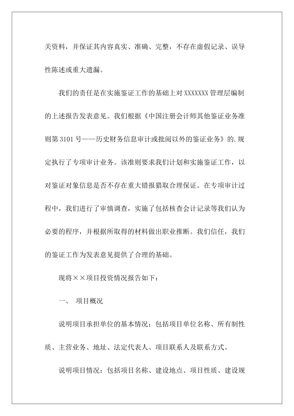 深圳项目投资专项审计报告_第3页