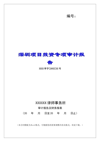 深圳项目投资专项审计报告