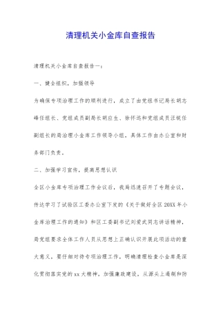 清理机关小金库自查报告-