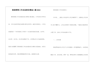 渠道销售工作总结报告精选5篇2024