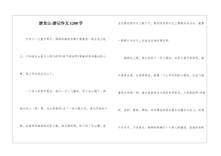 游龙山-游记作文1200字