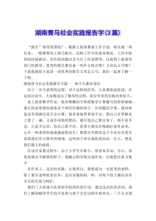 湖南青马社会实践报告字