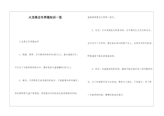 火龙果过冬养殖知识一览