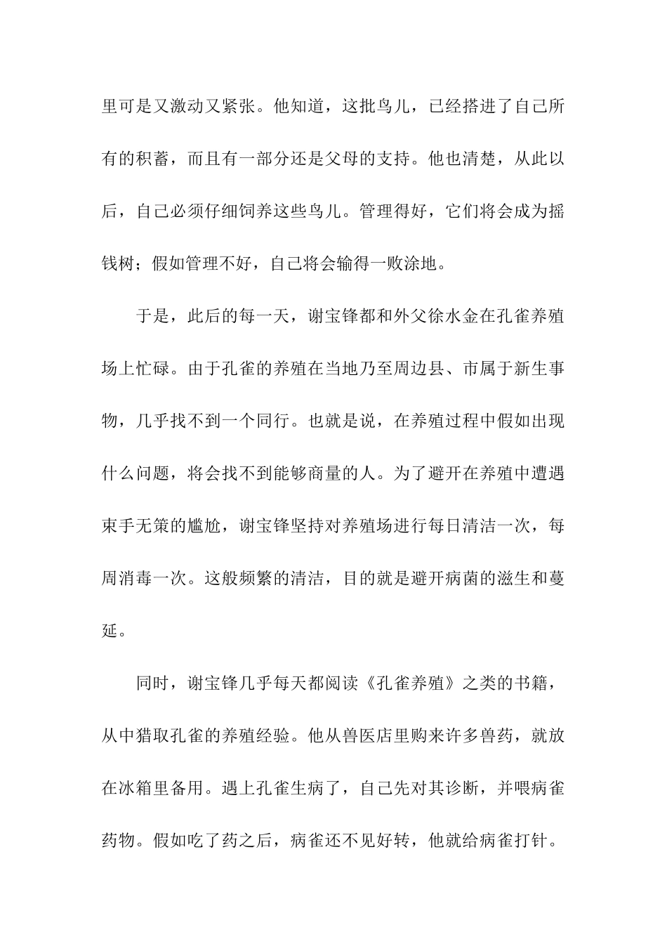 热点解读80后辞职回乡养孔雀特种养殖带领村民致富_第3页