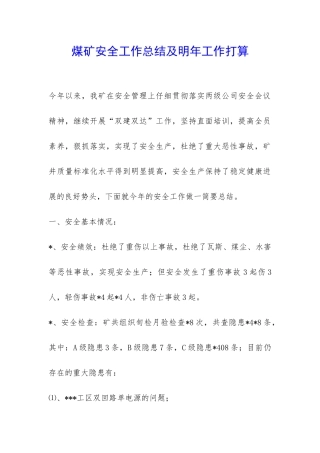 煤矿安全工作总结及明年工作打算-