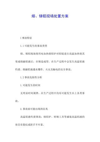 熔、铸铝现场处置方案