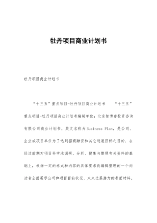 牡丹项目商业计划书
