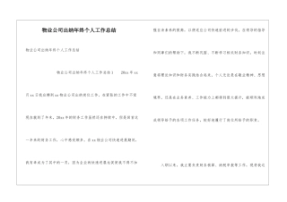 物业公司出纳年终个人工作总结
