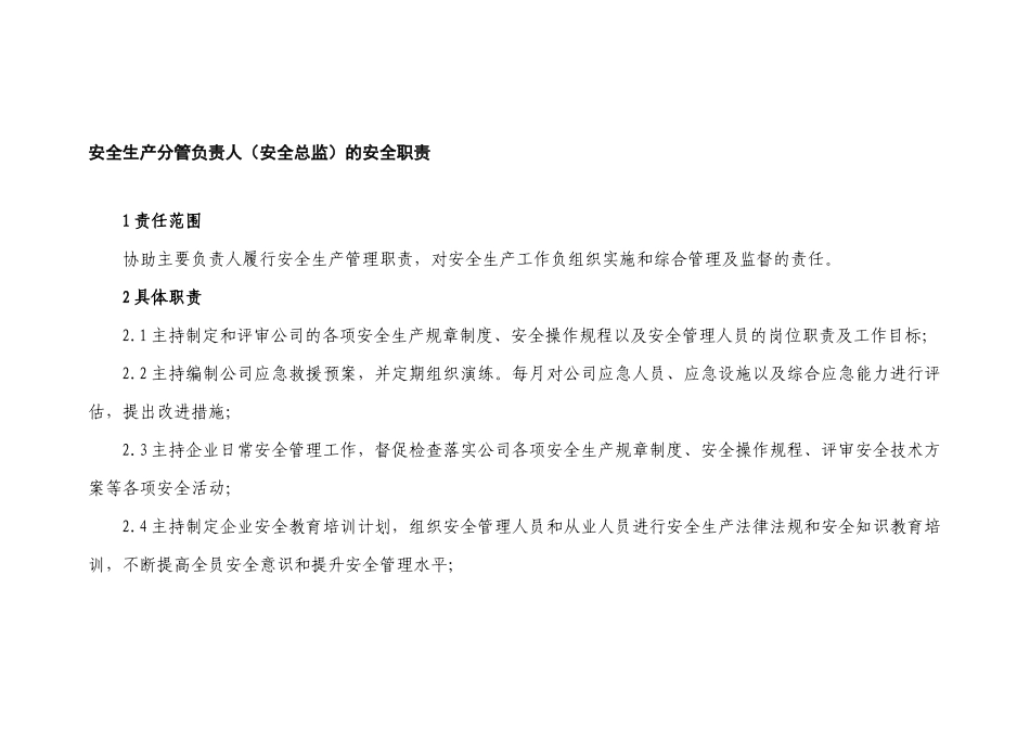 安全生产分管负责人（安全总监）的安全职责_第1页