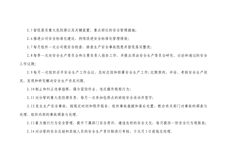 安全生产分管负责人（安全总监）的安全职责_第2页