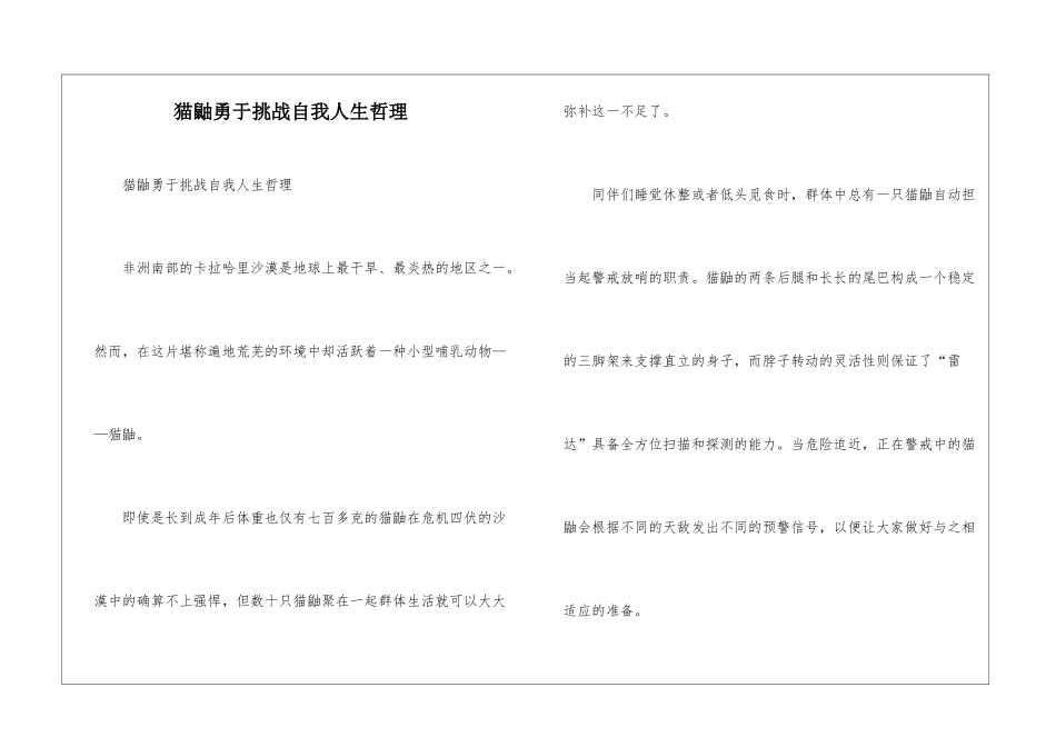 猫鼬勇于挑战自我人生哲理_第1页