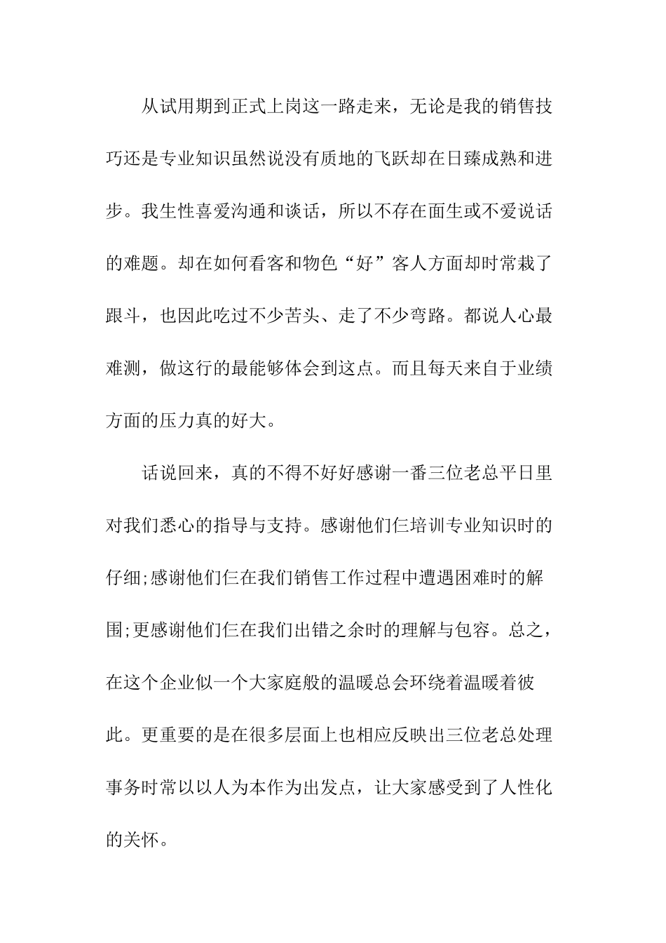 玉石营销述职报告_第2页