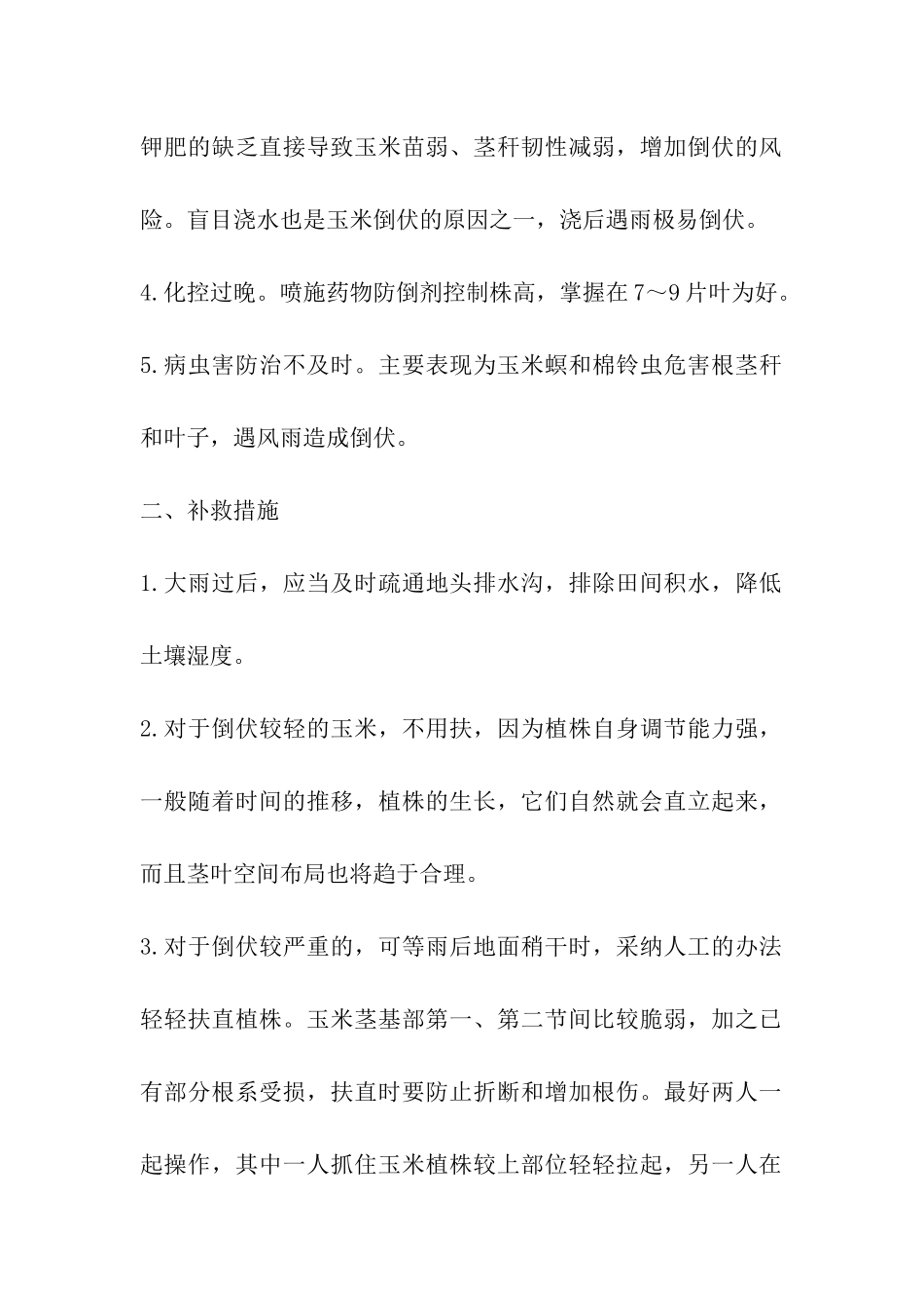 玉米倒伏的预防与补救措施_第2页